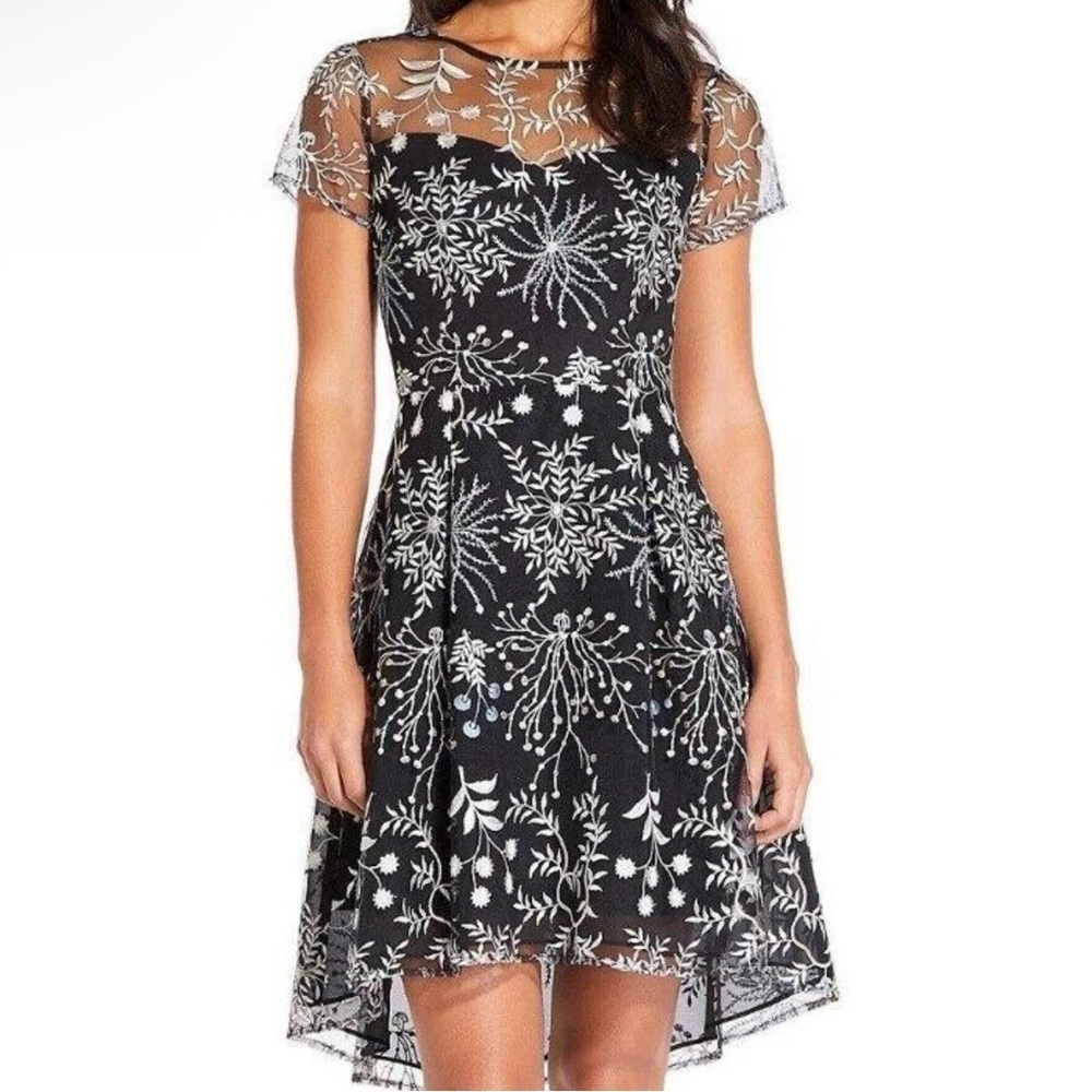 Adrianna Papell Black Sheer Mesh Embroidered Fit & Flare Dress Size 10